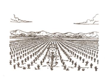 National Taiwan University Agronomy Department Stamp